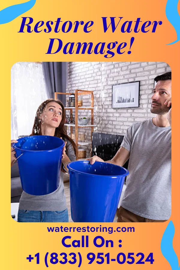 water restoration Prime Sewage Cleanup Services Benson