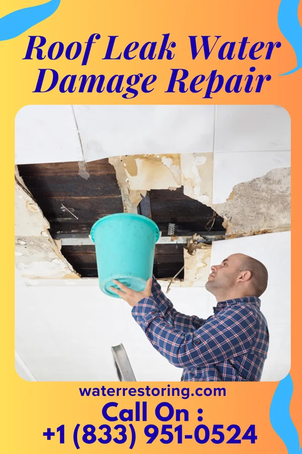 Roof Leak Water Damage Repair in Benson, MN