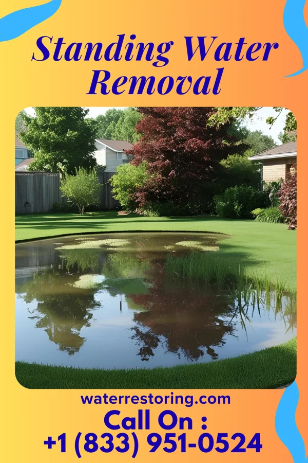 Standing Water Removal in Benson, MN